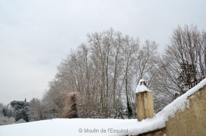 Esquirol-sous-la-Neige-007