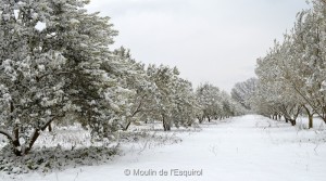 Esquirol-sous-la-Neige-012