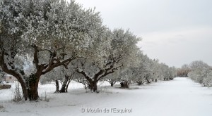 Le Moulin de l'Esquirol sous la neige - 2012