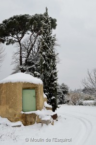 Esquirol-sous-la-Neige-025