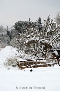 Esquirol-sous-la-Neige-026