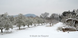 Esquirol-sous-la-Neige-027