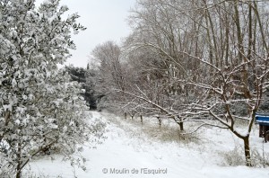 Esquirol-sous-la-Neige-032