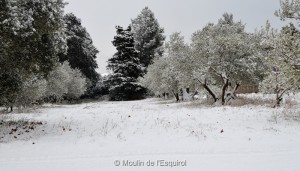 Esquirol-sous-la-Neige-041