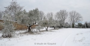 Esquirol-sous-la-Neige-045