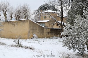 Esquirol-sous-la-Neige-046