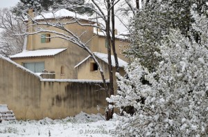 Esquirol-sous-la-Neige-047