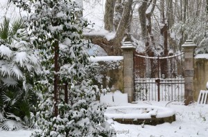 Esquirol-sous-la-Neige-059