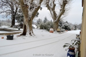 Esquirol-sous-la-Neige-062