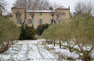 Esquirol-sous-la-Neige-065