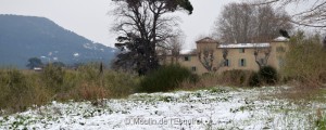 Esquirol-sous-la-Neige-068 (1)