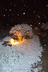 Esquirol-sous-la-Neige-069