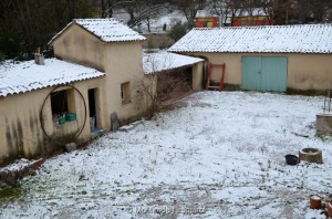 Esquirol-sous-la-Neige-072