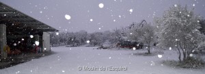 Esquirol-sous-la-Neige-083