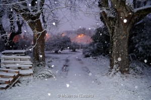 Esquirol-sous-la-Neige-084