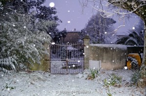 Esquirol-sous-la-Neige-085