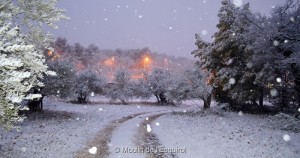 Esquirol-sous-la-Neige-088