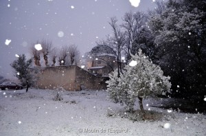 Esquirol-sous-la-Neige-089