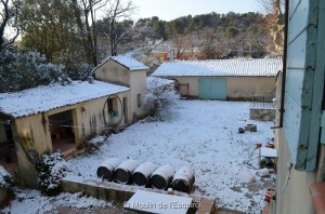 Esquirol-sous-la-Neige-091