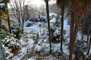 Esquirol-sous-la-Neige-092