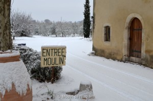 Esquirol-sous-la-Neige-100