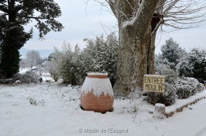 Esquirol-sous-la-Neige-102