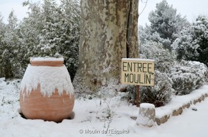 Esquirol-sous-la-Neige-103