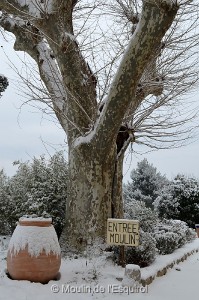 Esquirol-sous-la-Neige-104