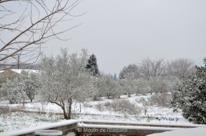 Esquirol-sous-la-Neige-113