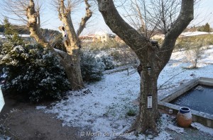 Esquirol-sous-la-Neige-115