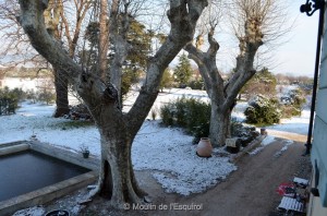 Esquirol-sous-la-Neige-116