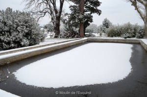 Esquirol-sous-la-Neige-119